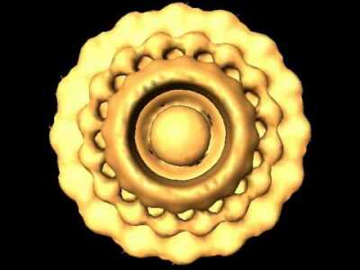 T. primitia Flagellar Motor