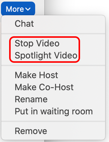 Select Stop Video or Spotlight Video