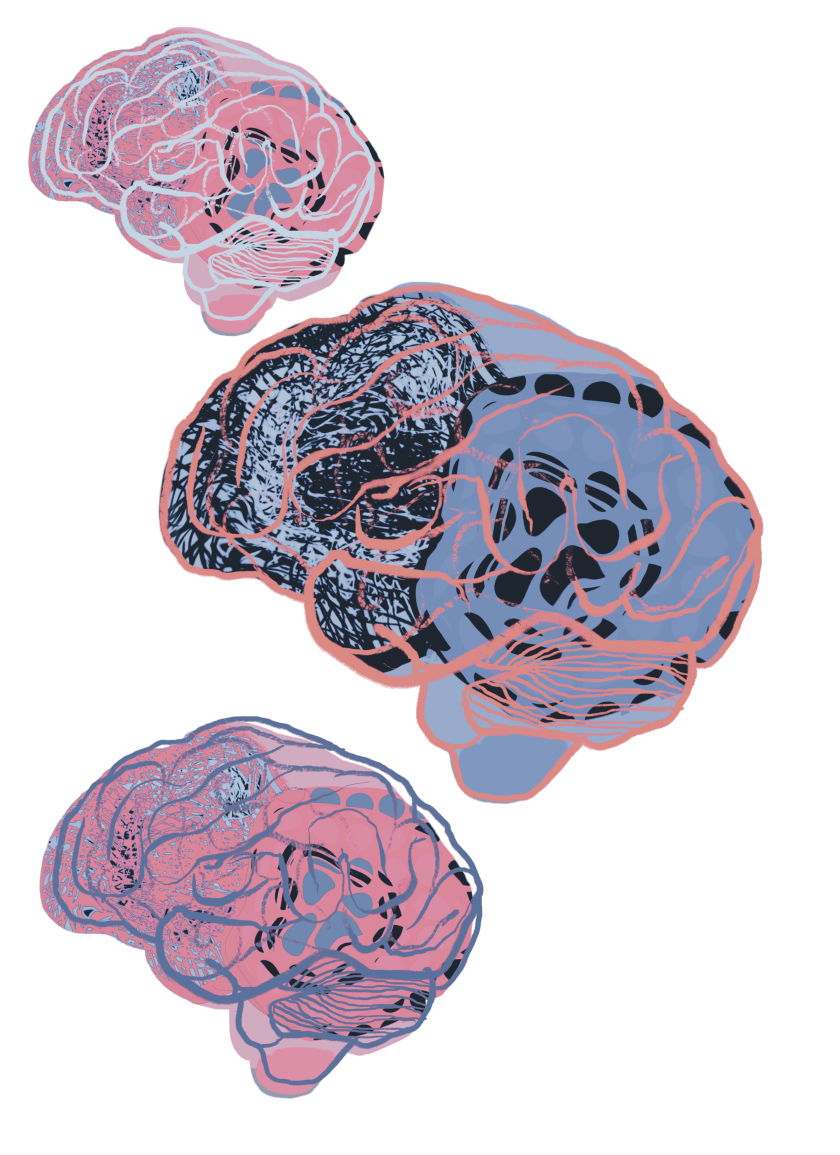 An illustration of three brains