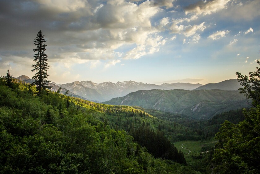 Wasatch Landscape