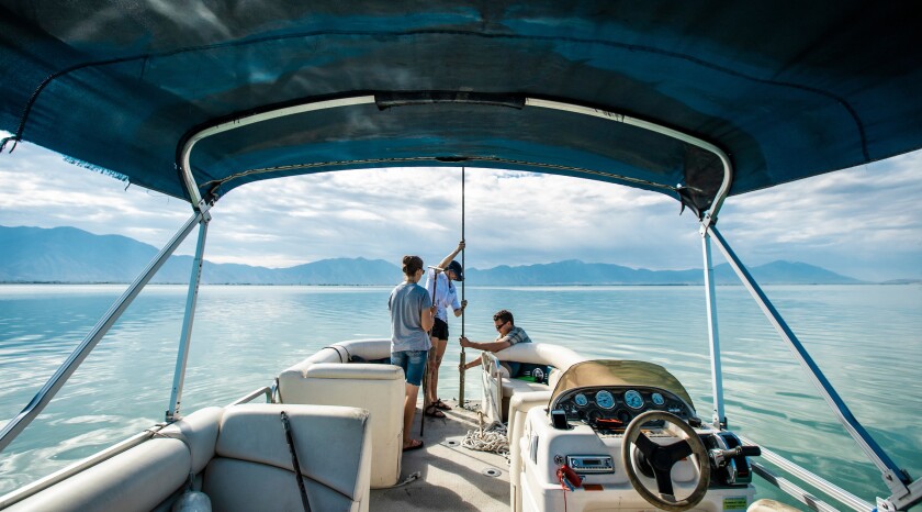 Utah Lake Carling 12.jpg