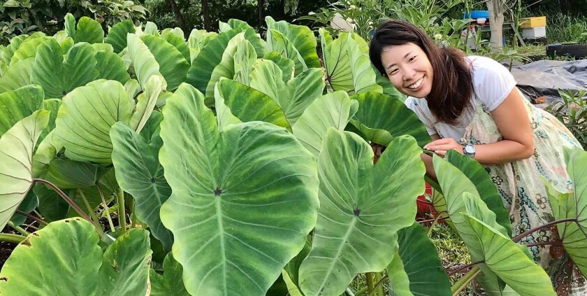 Sasaki smiles wearing a light green flowered dress on the right with taro leaves on the left of her.