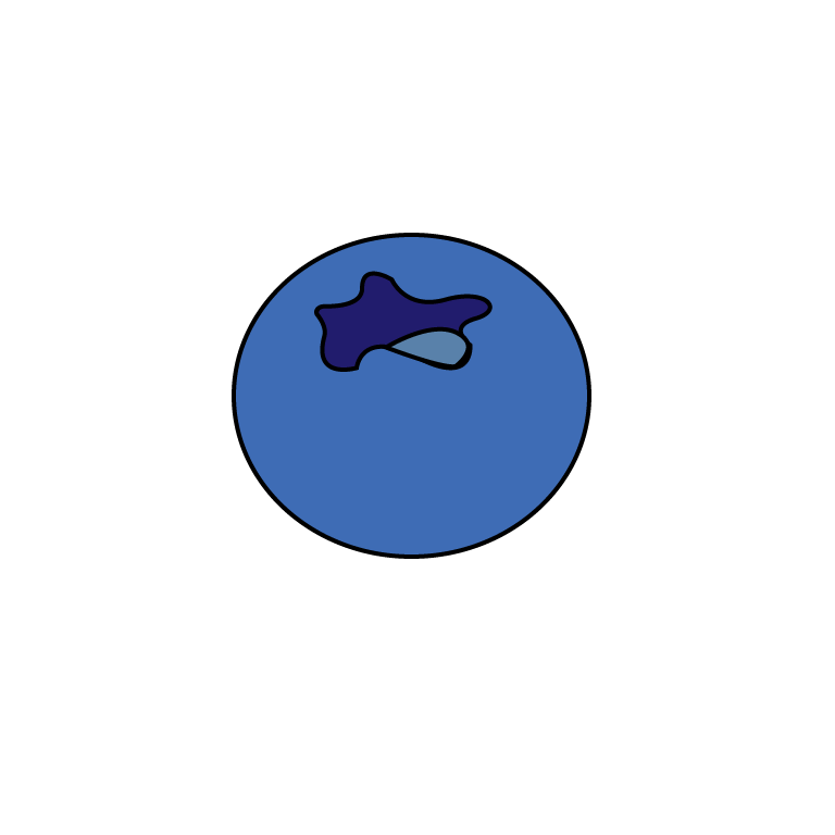 blueberry icon.png