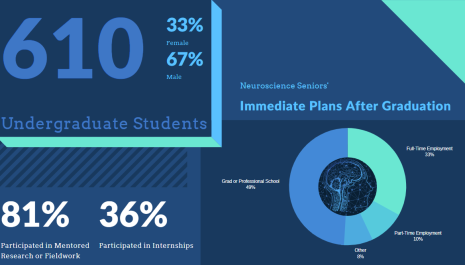 Undergraduate Statistics.png