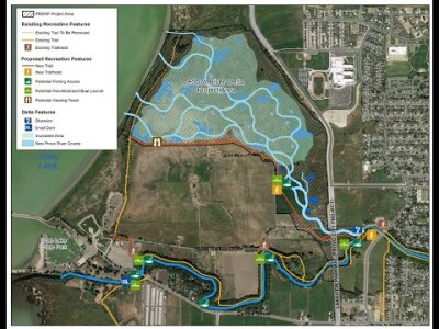 Provo River Delta Restoration (Melissa Stamp)