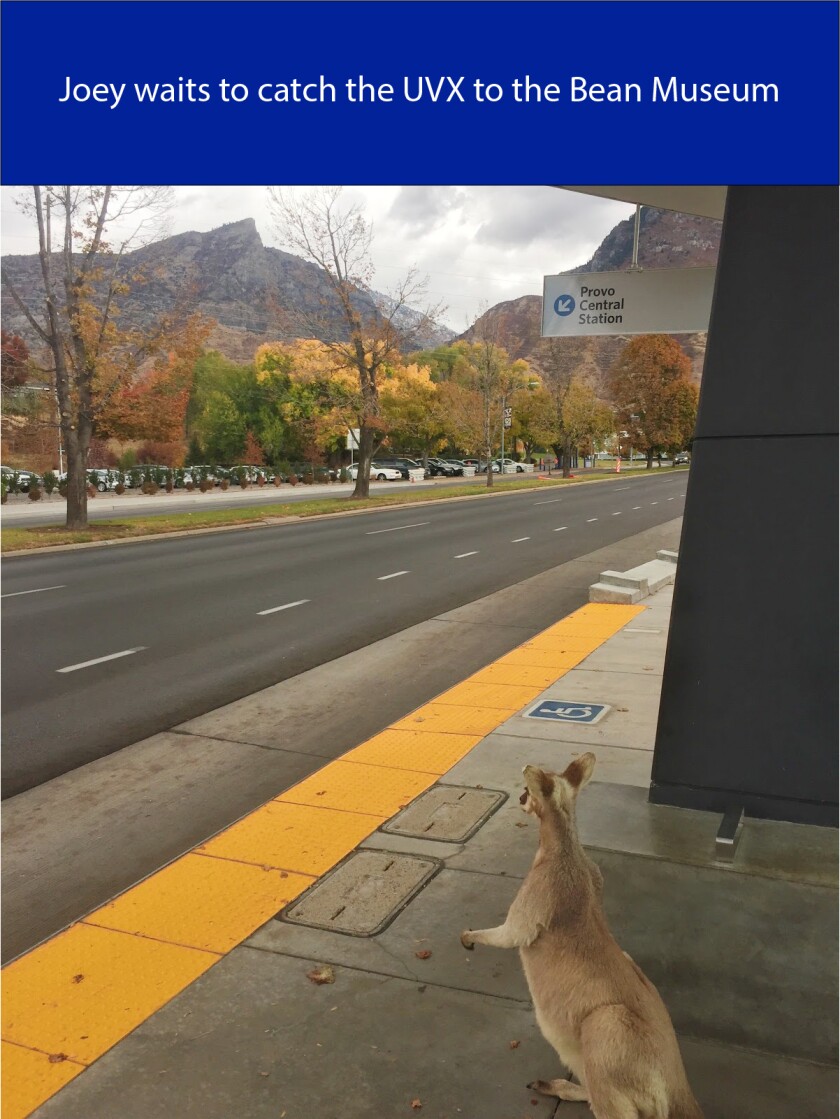 waitingforthebus.jpg