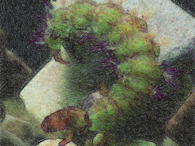 Creative Works Digital