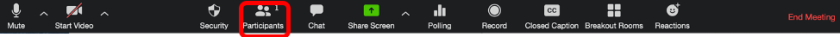 Click "Participants" button.