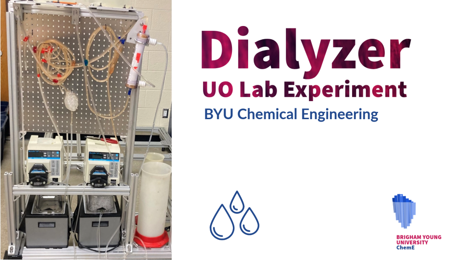 Dialyzer Experiment