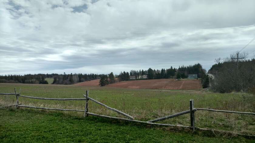 An image of a field