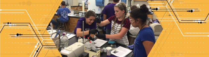 Students working in lab