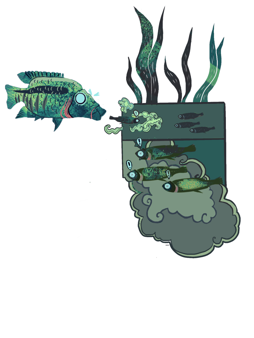Green and blue illustration of a large fish hunting a small fish, which has a green cloud around it and a speech bubble with an exclamation point. The small fish is entering a box with other fish in it. The top level has three small black fish who are having no response. The three medium-sized fish below also have exclamation points and a large green cloud around them.