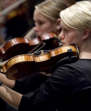 Violinists_300x365.jpg