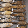 row of Birds labeled.png
