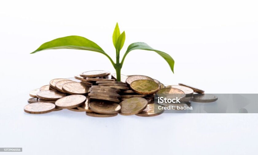 a plant growing out of a pile of coins