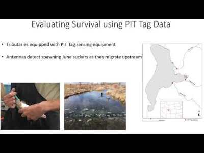 Monitoring June Sucker Recovery Strategies (Dale Fonken)