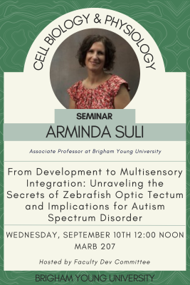suli Seminar 9/10