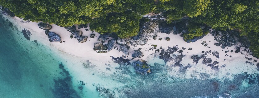 rocky shore coastal beach.jpg