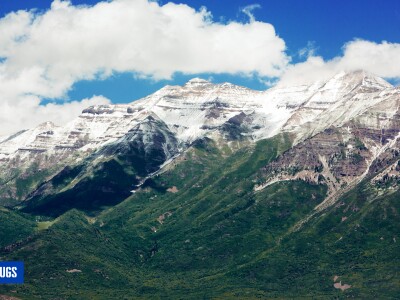 timp.jpg