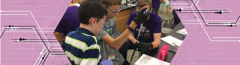 Students working in lab