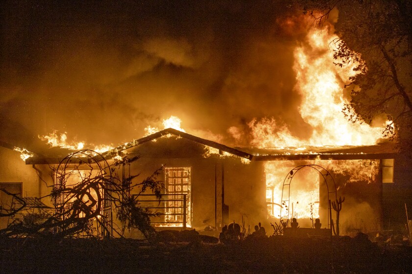 A house is on fire with dark outlines of plants and smoke around it.