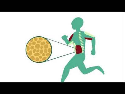 Life Sciences Lifestyle: Why your spinal health and body composition will compel you to run