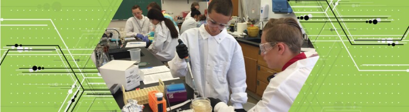 Students working in lab
