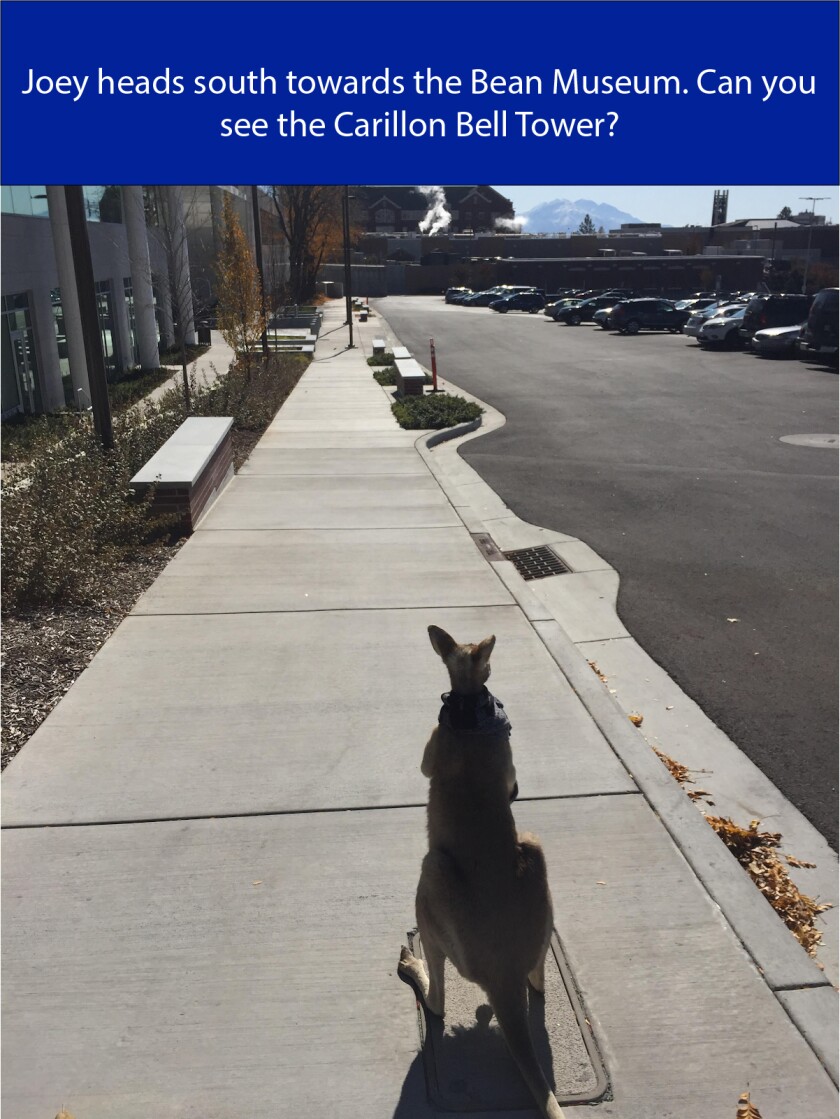 sidewalk.jpg