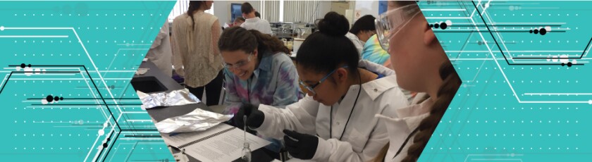 Students working in lab