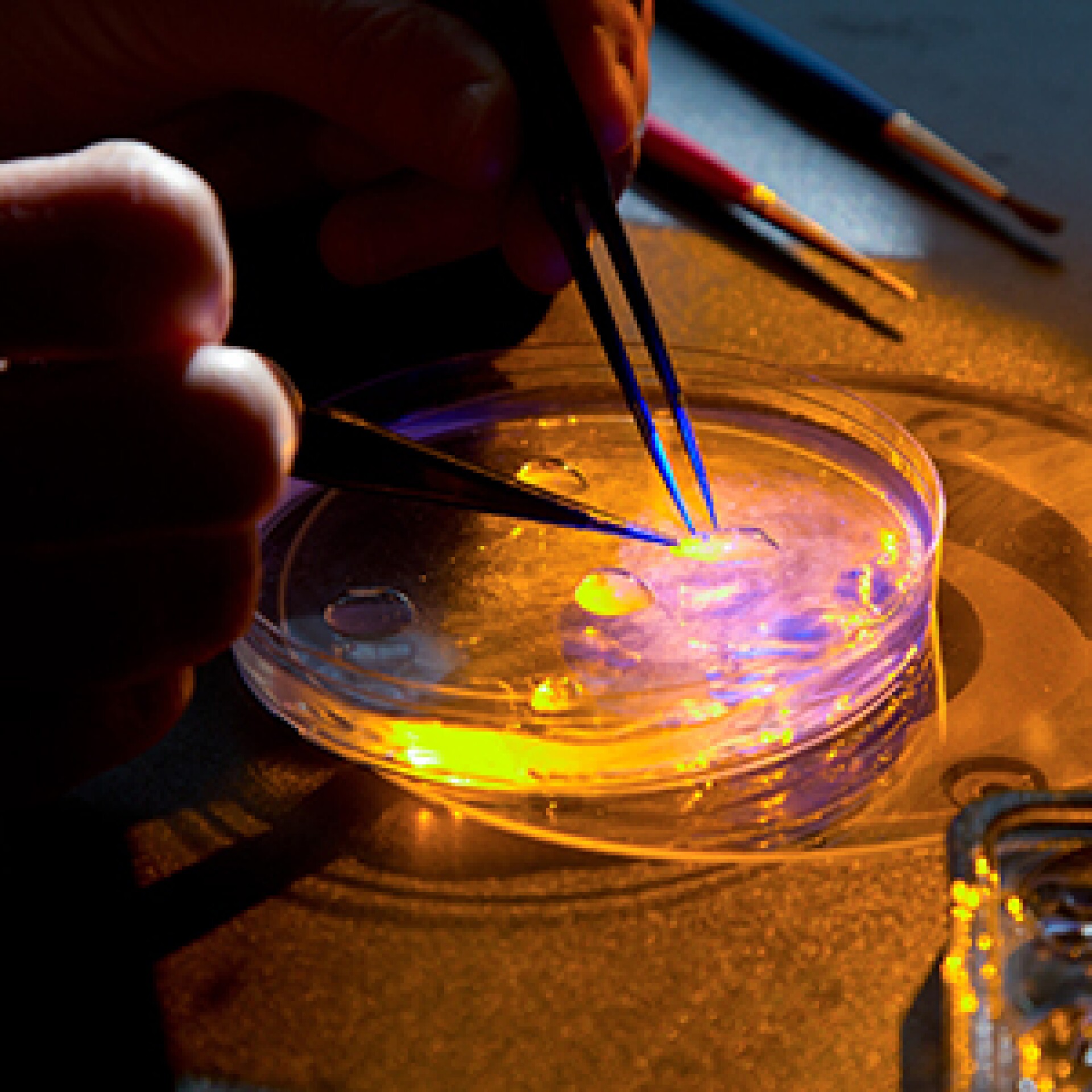 MMBIO/scienceLab19Thumb.jpg