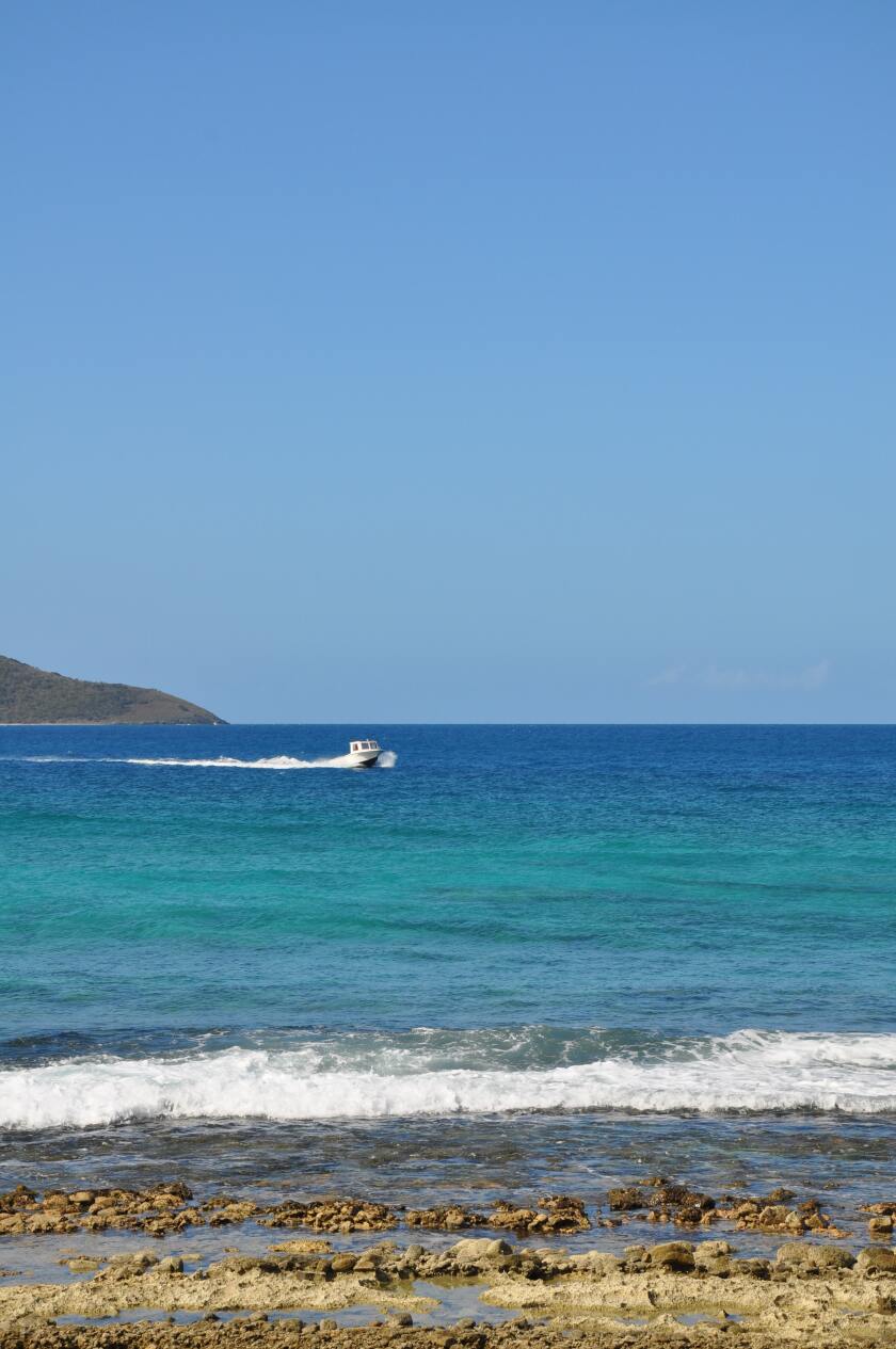 A small white boat drives across a bay with a mountain in the background and the rocky shoreline in the foreground
