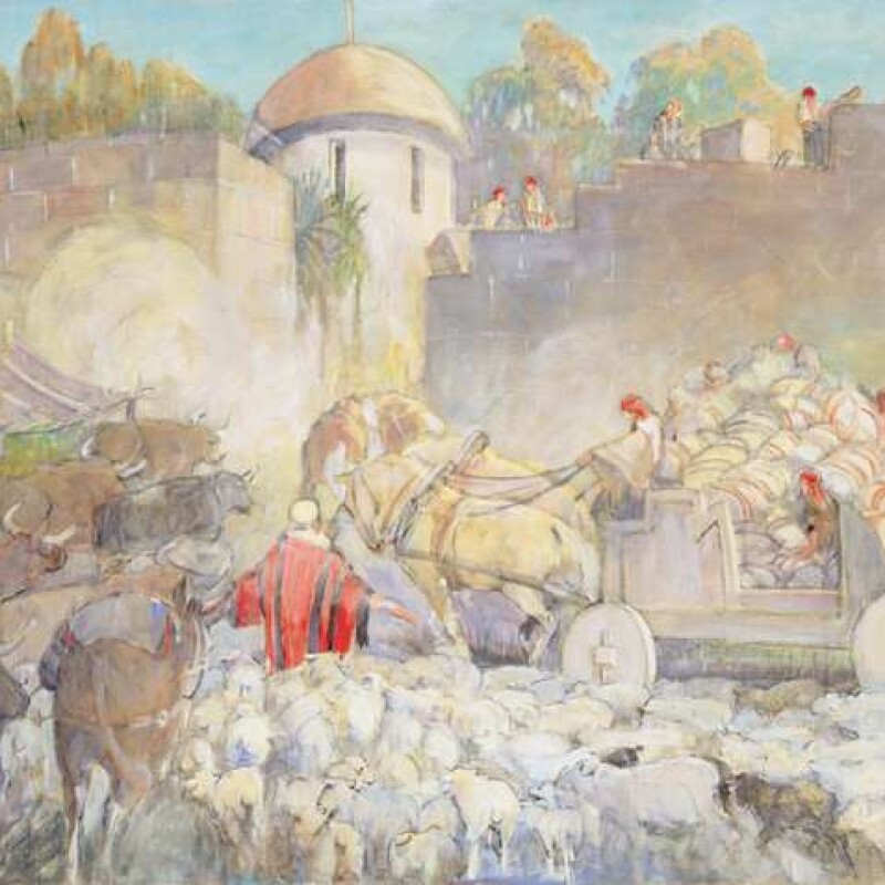 THE ANSWER OF LACHONEUS