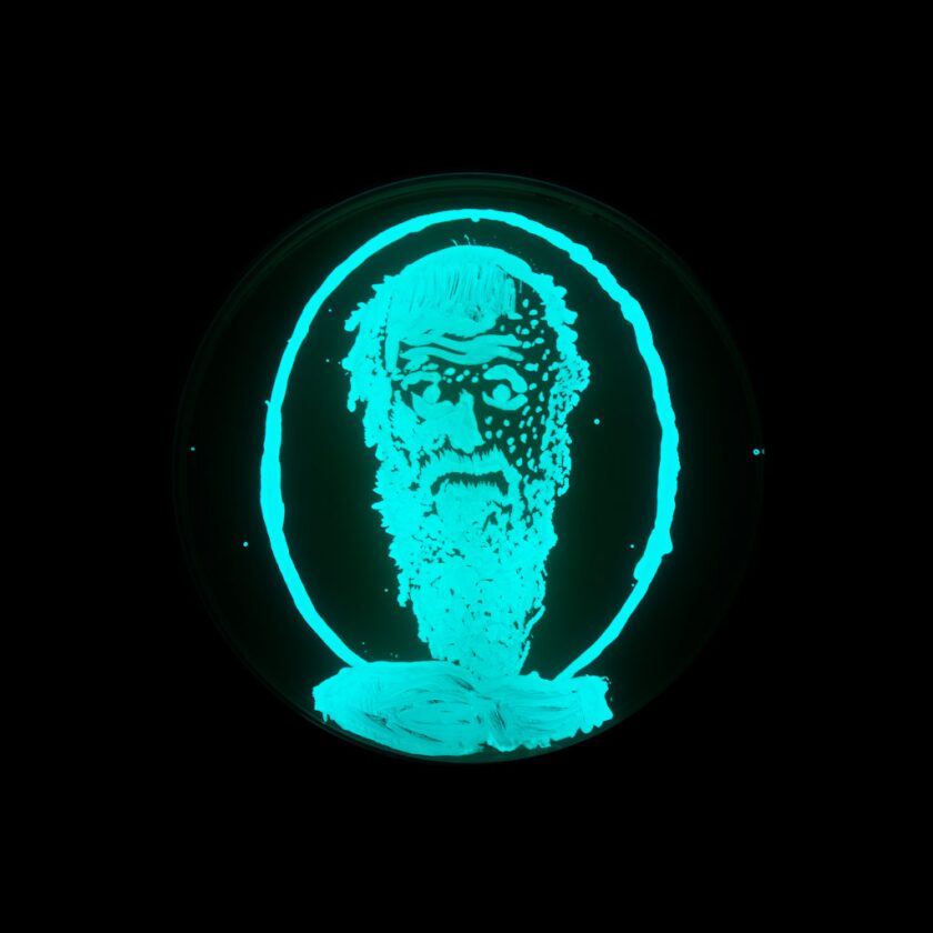 data-id=