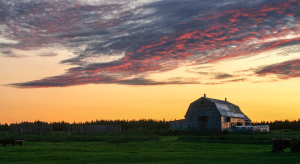 sunrise over barn