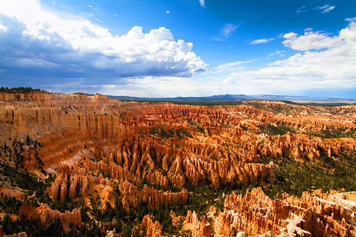 a canyon full of rock formations and trees