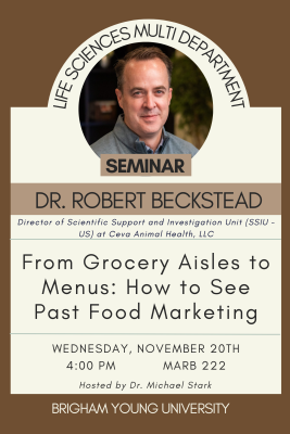 Beckstead Seminar 11/20 Afternoon