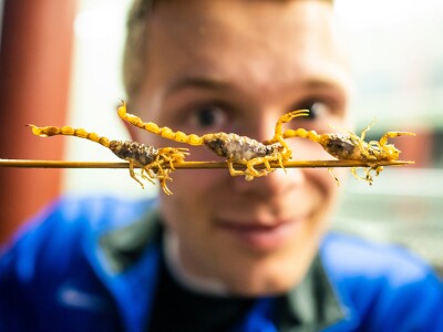 BYU 2019 - 1905-84 04756