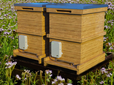 BYU Mechanical engineering students in Singapore