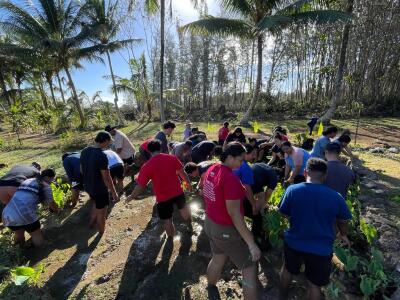 Students working in a lo'i