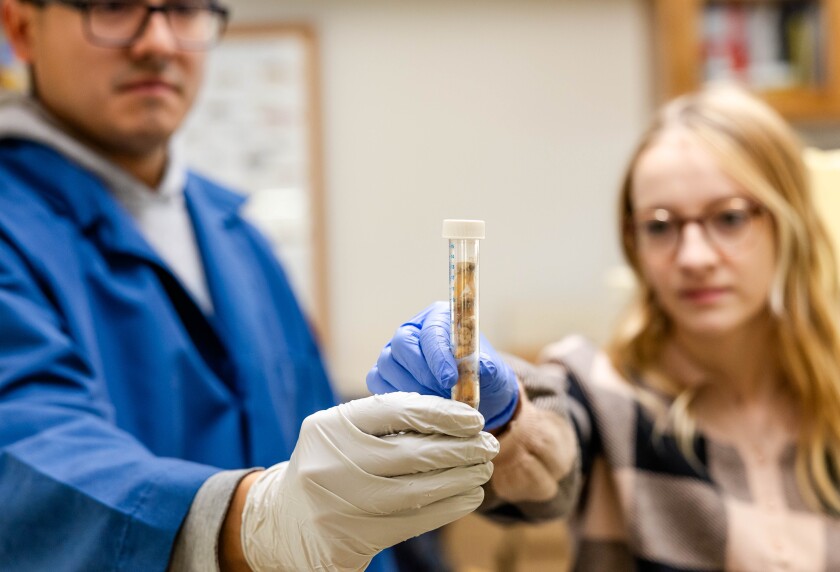 A man and a woman hold a vial of mummy teeth together
