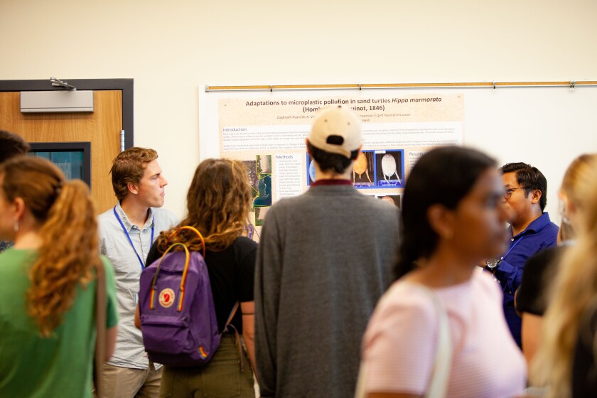 Multiple people standing in a room, some are focussed on one poster board presentation that reads, "Adaptations to microplastic pollution in sand turtles."